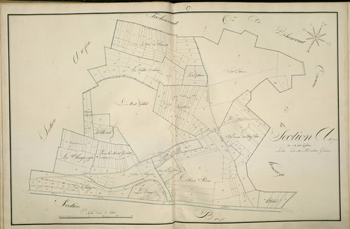 Plan du cadastre napoléonien - Atlas cantonal - Pont-Noyelles (Pont Noyelles) : Mont Gribut (Le), A1