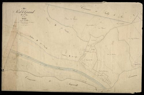 Plan du cadastre napoléonien - Port-le-Grand (Port le Grand) : Bois (les), A