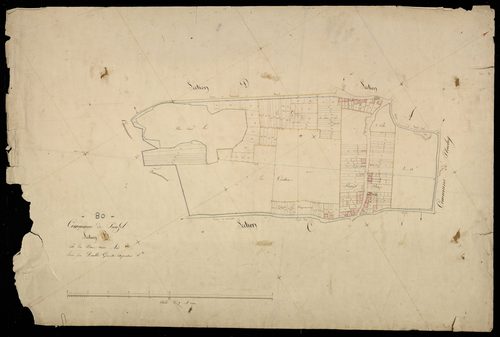 Plan du cadastre napoléonien - Prouzel : Bois Saint Avid (Le)