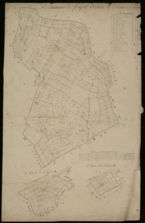 Plan du cadastre napoléonien - Proyart : Bois (Le), E, D2 et D3