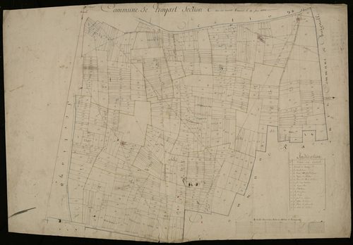 Plan du cadastre napoléonien - Proyart : Moulins (Les), C