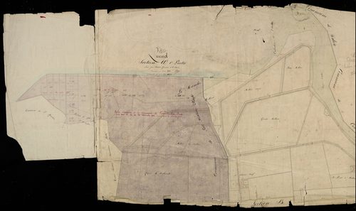 Plan du cadastre napoléonien - Quend : A1