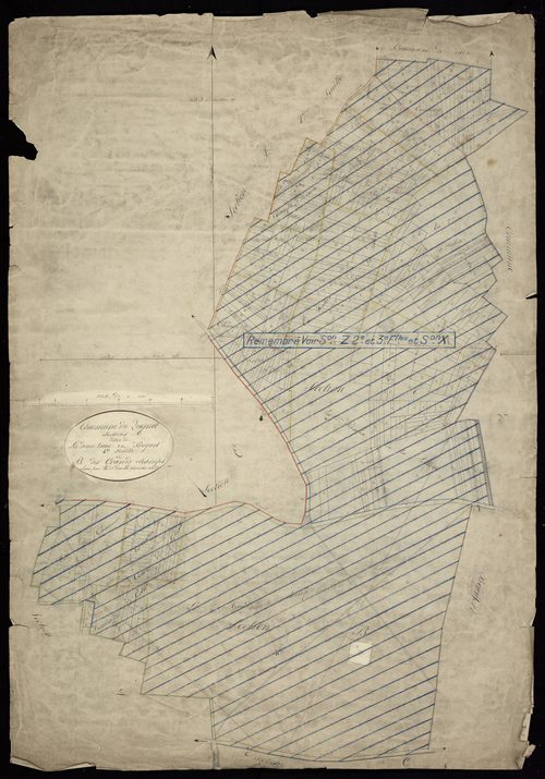 Plan du cadastre napoléonien - Quesnel (Le) (Le Quesnel) : Demi-lieue (La) ; Boyart ; Grands Champs (Les), A1 et B