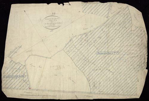 Plan du cadastre napoléonien - Quesnel (Le) (Le Quesnel) : Bois Chaussée (Le) ; Chemin de Fresne (Le), C