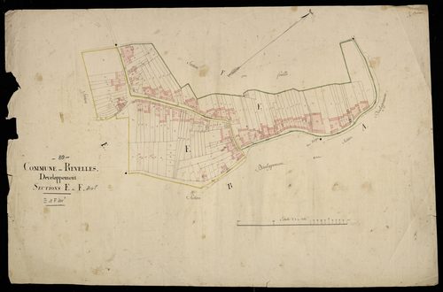 Plan du cadastre napoléonien - Revelles : développement des sections E et F