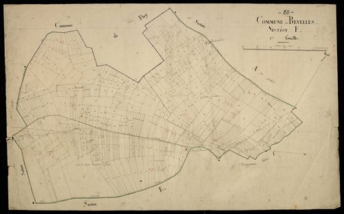 Plan du cadastre napoléonien - Revelles : F1