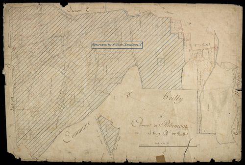 Plan du cadastre napoléonien - Ribemont-sur-Ancre (Ribemont) : D1