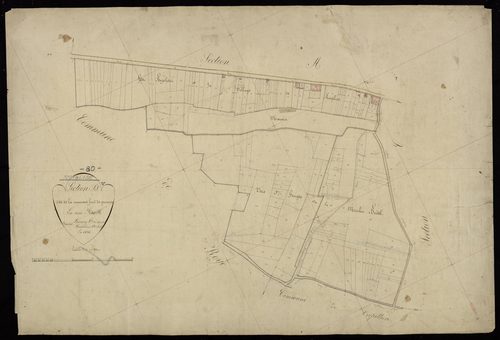 Plan du cadastre napoléonien - Roiglise : Crannière fond de Gronnes (La), D