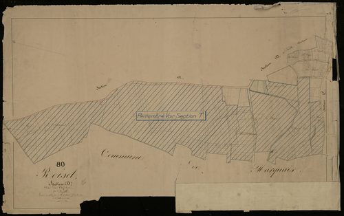 Plan du cadastre napoléonien - Roisel : Chef-lieu (Le), D1