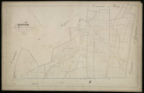 Plan du cadastre napoléonien - Ronsoy : Arbre Bony (L'), A