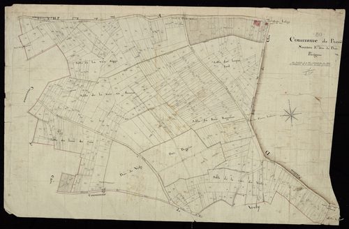 Plan du cadastre napoléonien - Rosières-en-Santerre (Rosières) : Bois Reigner (Le), E