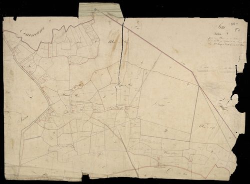 Plan du cadastre napoléonien - Rue : Hêre (Le), F