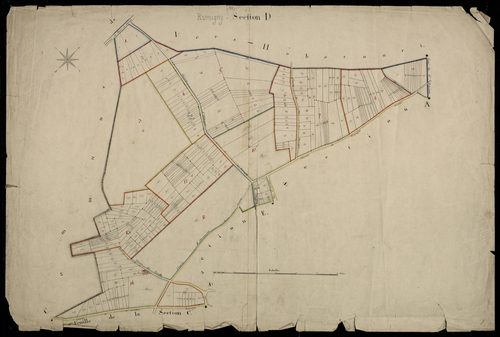 Plan du cadastre napoléonien - Rumigny : D