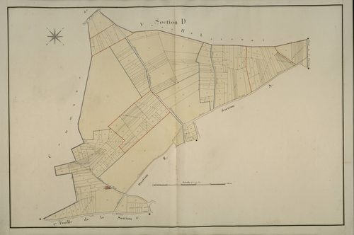 Plan du cadastre napoléonien - Rumigny : D