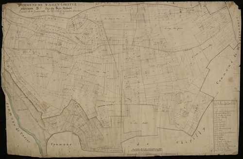 Plan du cadastre napoléonien - Sailly-Laurette (Sailly-Lorette) : Bois Malard (Le), B