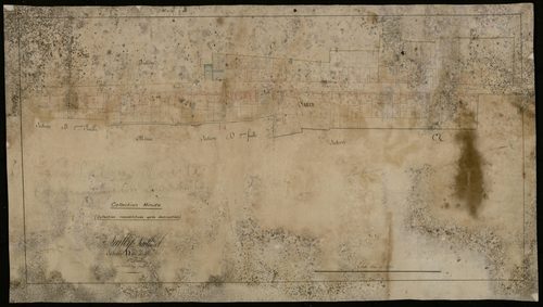 Plan du cadastre napoléonien - Sailly-Saillisel : Chef-lieu (Le), D1 (minute reconstituée après destruction)