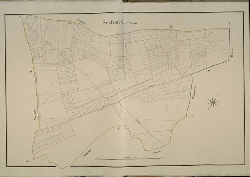 Plan du cadastre napoléonien - Sains-en-Amienois (Sains) : C1
