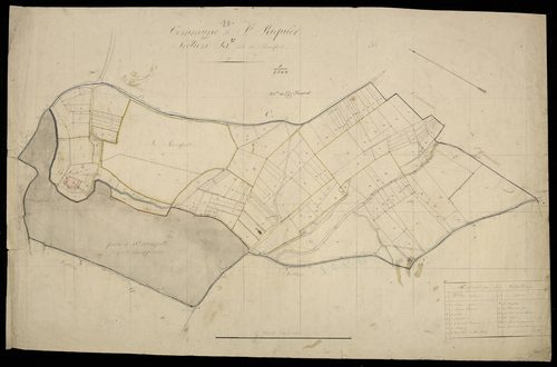 Plan du cadastre napoléonien - Saint-Riquier (Saint Riquier) : Bosquet (Le), D
