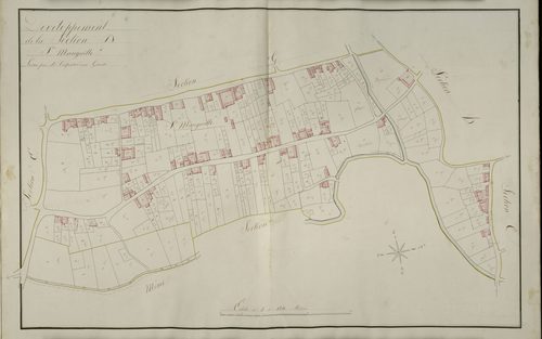 Plan du cadastre napoléonien - Saint-Riquier : Sainte Mauguille, D développée