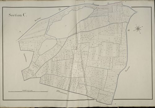 Plan du cadastre napoléonien - Saint-Sauflieu : C