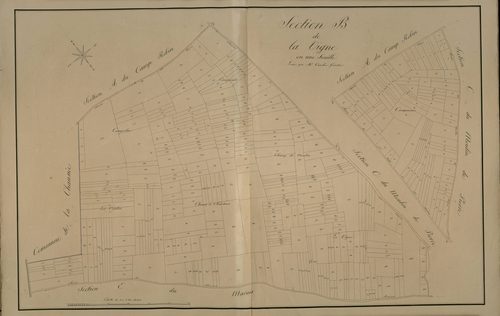 Plan du cadastre napoléonien - Saint-Sauveur : Vigne (La), B