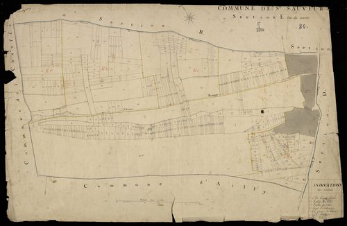 Plan du cadastre napoléonien - Saint-Sauveur : Marais (Le), E