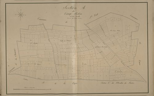 Plan du cadastre napoléonien - Saint-Sauveur : Camp Robin (Le), A