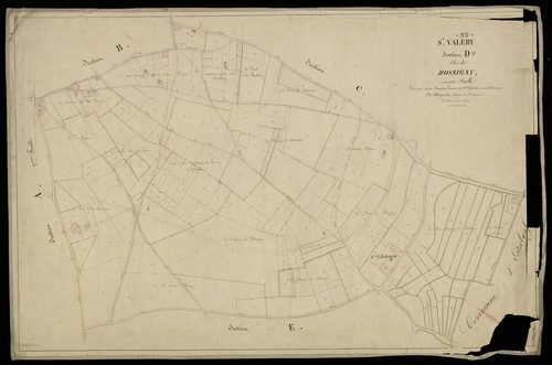 Plan du cadastre napoléonien - Saint-Valery-sur-Somme (Saint Valery) : Rossigny, D
