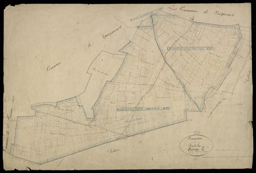 Plan du cadastre napoléonien - Sentelie : Chemin de Dargnies (Le), C