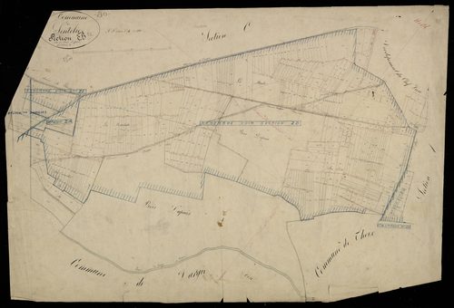 Plan du cadastre napoléonien - Sentelie : Bois Dupuis (Le), B
