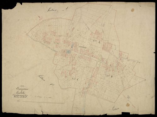 Plan du cadastre napoléonien - Sentelie : développement des sections A, B et C