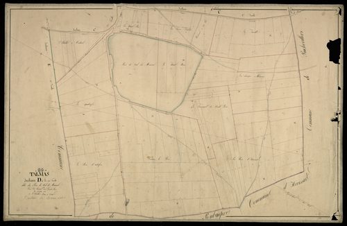 Plan du cadastre napoléonien - Talmas : Bois de Val de Maison (Le), D