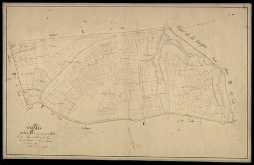 Plan du cadastre napoléonien - Talmas : Muses (Les) ; Champs de Pierre (Les), B2