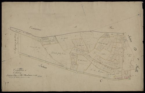 Plan du cadastre napoléonien - Tilloloy : Pré Madame (Le), D2