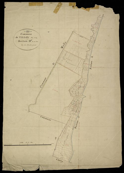 Plan du cadastre napoléonien - Tilloy-Les-Conty (Tilloy près Conty) : Près (Les), D