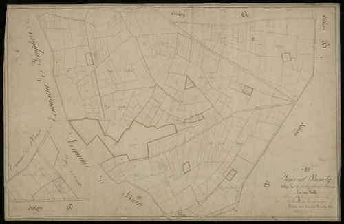 Plan du cadastre napoléonien - Tincourt-Boucly : Bois Hoquette (Le) ; Couture Palfosse (La), E