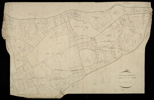 Plan du cadastre napoléonien - Toutencourt : C1