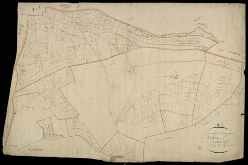 Plan du cadastre napoléonien - Toutencourt : Festonval, E