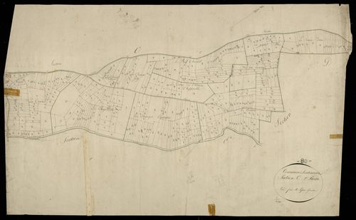 Plan du cadastre napoléonien - Toutencourt : C2