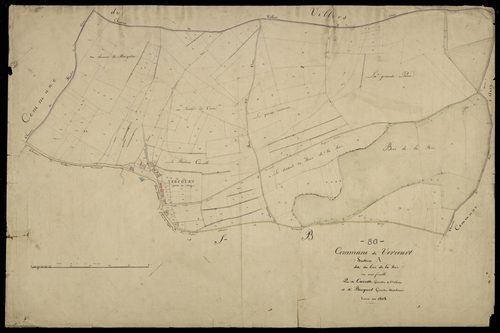 Plan du cadastre napoléonien - Vercourt : Bois de la Rez (Le), A