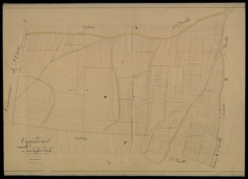 Plan du cadastre napoléonien - Vignacourt : Lalemont ; Vignes (Les), F1