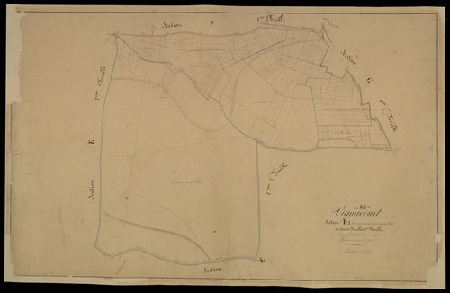 Plan du cadastre napoléonien - Vignacourt : Bois du Parc (Le) ; Forêt (La), E1