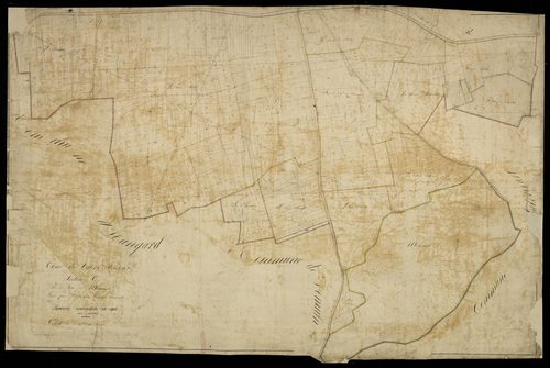 Plan du cadastre napoléonien - Villers-Bretonneux : Bois de Morgemont (Le), C