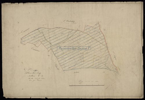 Plan du cadastre napoléonien - Villers-Les-Roye : Bois de Villers (Les), C