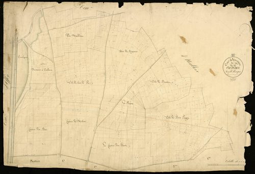 Plan du cadastre napoléonien - Voyennes : Coutures (Les), D