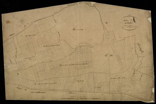 Plan du cadastre napoléonien - Warlus : D2