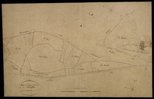 Plan du cadastre napoléonien - Warlus : D1 et E