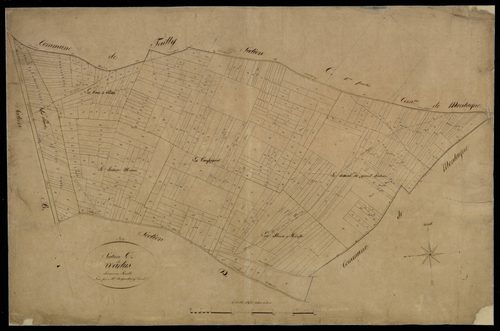 Plan du cadastre napoléonien - Warlus : C2