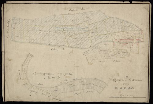 Plan du cadastre napoléonien - Warsy : développement des sections C et D