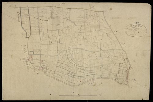 Plan du cadastre napoléonien - Woignarue : Hautebut ; Camp Tortus (Le), B